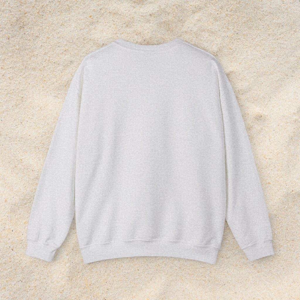 Devereux Beach Coordinates Crewneck