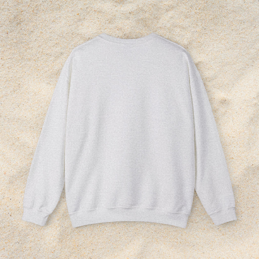 Fieldston Beach Coordinates Crewneck